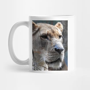 Lioness Mug